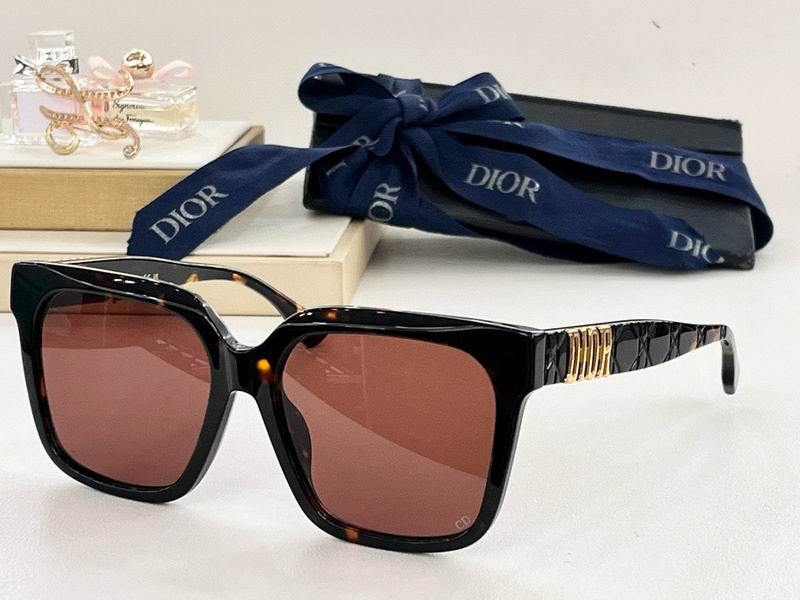 DIOR Sunglasses 185